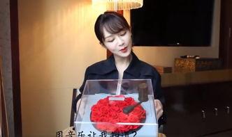 最新大爆料杨紫是哪一期,揭秘热门综艺最新一期精彩看点