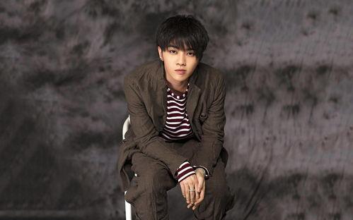 华晨宇和郑爽最新爆料,揭秘娱乐圈背后的真相与情感纠葛