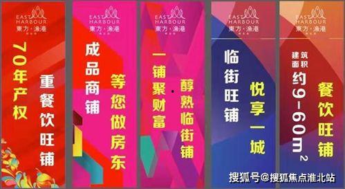 爆料最新项目,创新科技引领未来变革