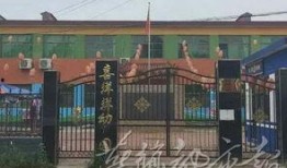 保定徐水爆料案件最新,案情进展与疑点解析