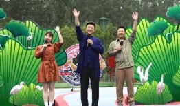 爆料西安头条视频最新一期,最新一期热点事件深度解析