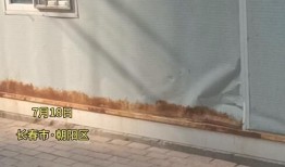 长春核酸最新爆料,揭秘疫情下的检测真相