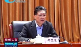 柳州局长爆料新闻最新,揭开背后惊人真相，行业乱象亟待整治！