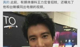 爆料王力宏视频最新,揭秘娱乐圈不为人知的真相