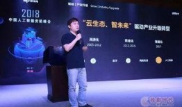 大华爆料视频大全最新,揭秘娱乐圈幕后真相