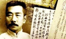 鲁迅最新爆料视频大全下载,揭秘文学巨匠的幕后故事