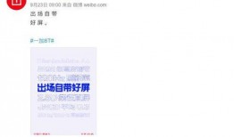 智尚捷付最新消息爆料,揭秘支付新动态与行业变革趋势