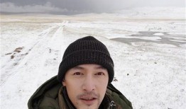 胡歌微博最新爆料,揭秘神秘恋情与演艺事业新动向