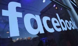 美国税局最新爆料案件,揭秘巨额逃税案件内幕