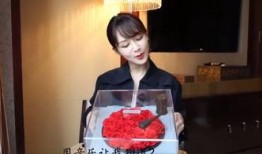 最新大爆料杨紫是哪一期,揭秘热门综艺最新一期精彩看点