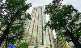 贵州花果园爆料案件最新,惊现惊人内幕，真相令人震惊！